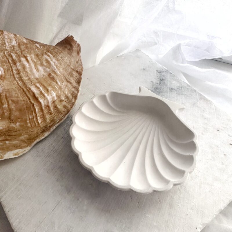 Seashell Tray