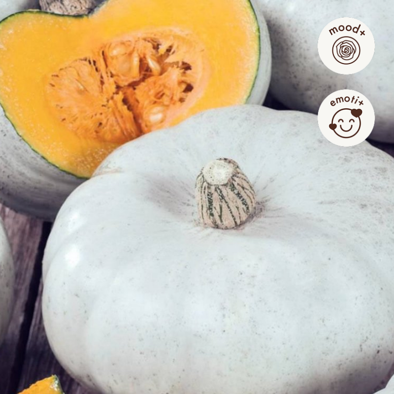 White Pumpkin Fragrance Oil