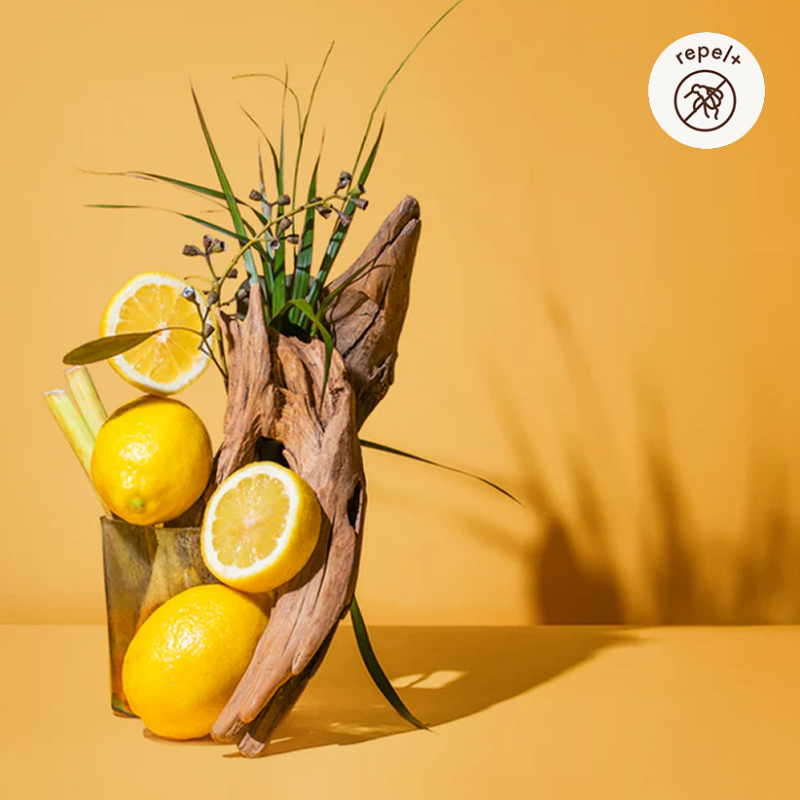 Citronella Fragrance Oil