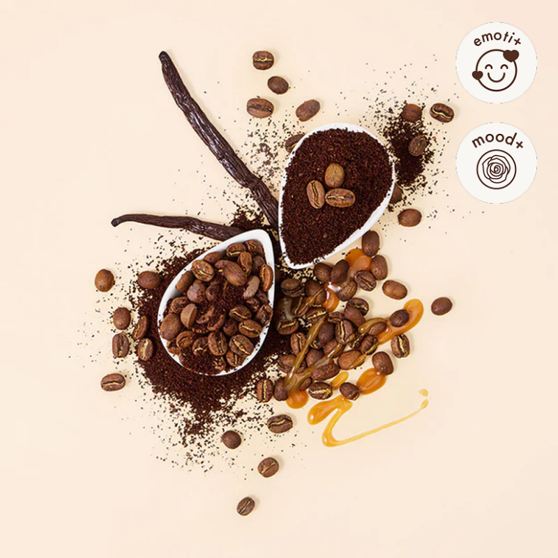 Coffee Dream Fragrance Oil