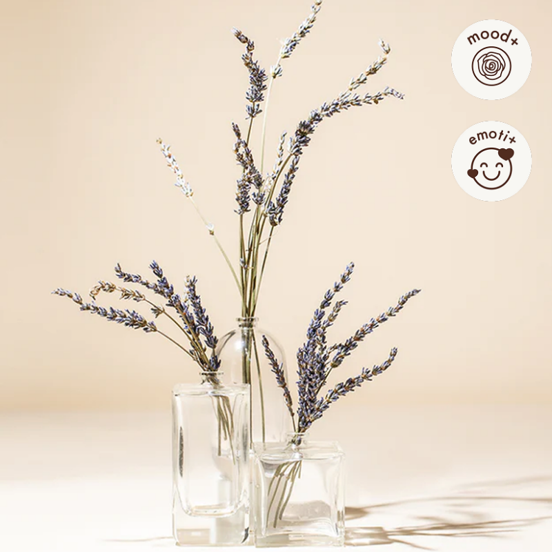 Lavender Fragrance Oil