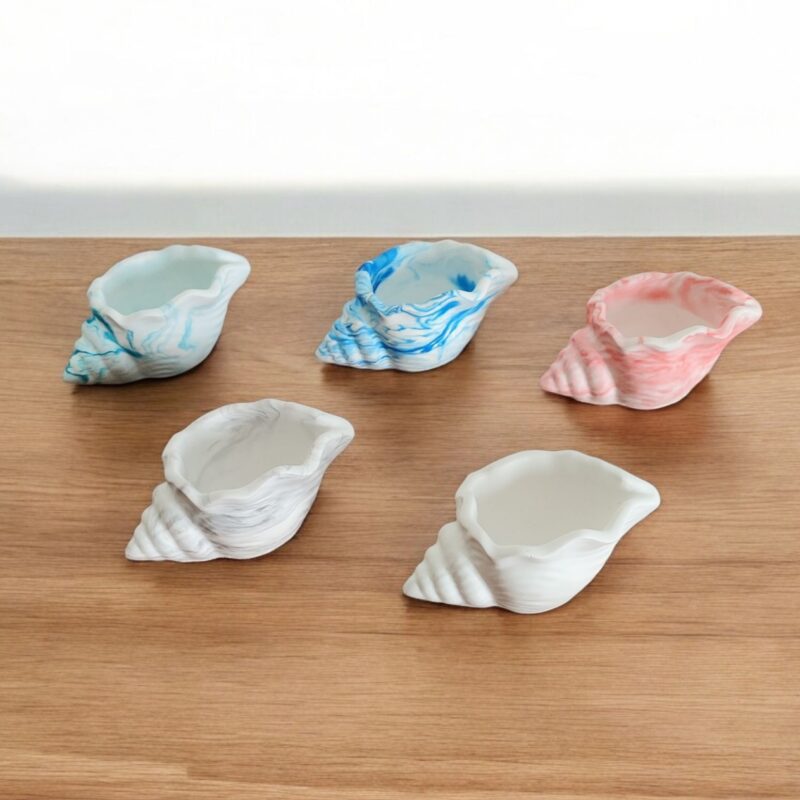 Small Round Seashell